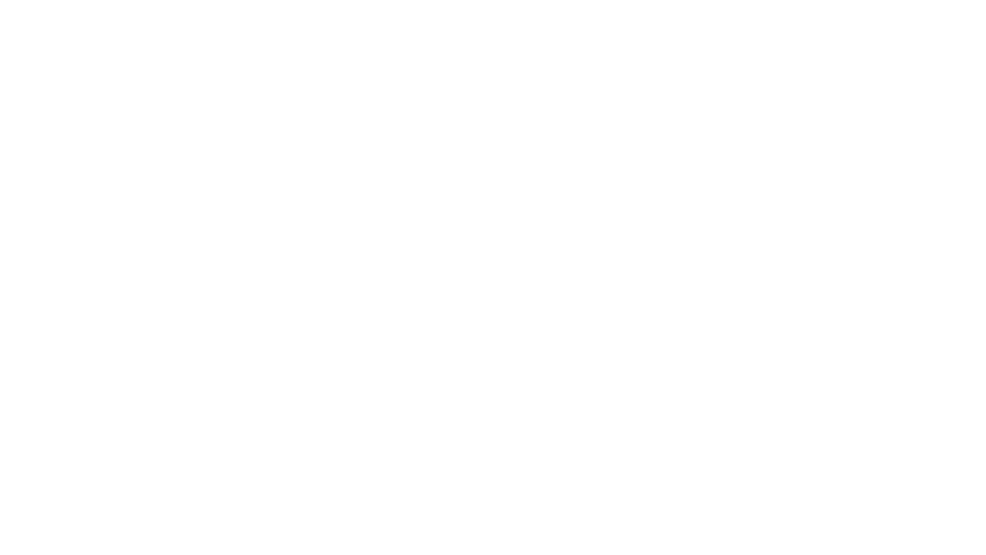 Logo de New Players Sports
